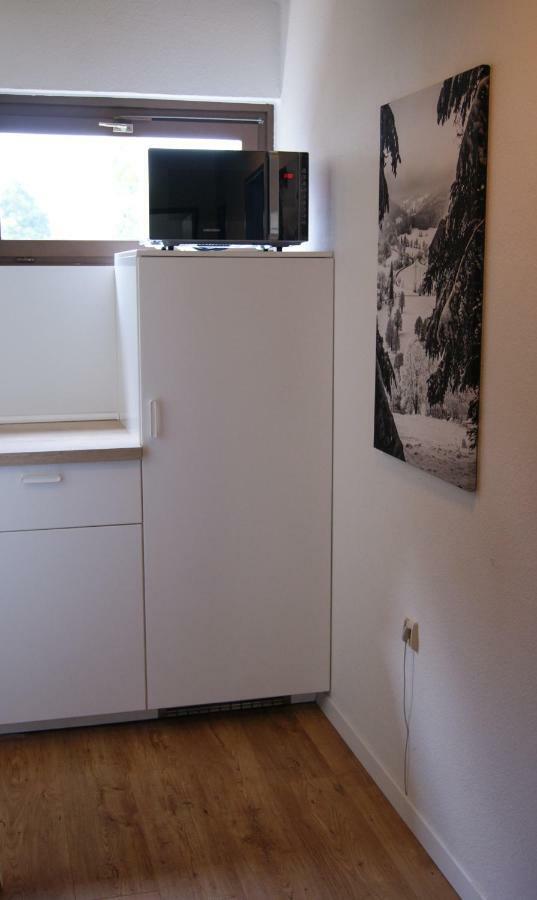 Ferienwohnung Schwarzwaldlust Schluchsee Buitenkant foto